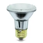 Replacement for 39PAR30/HAL/XEN/NFL (for SATCO) and others - EACH