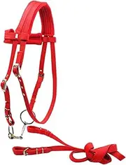koolsoo Horse Bridle with Reins Halter Metal Mouth Bit, Practical Side Pull Bridle Reins, Headstall Horse Riding Rope Equestrian Gear