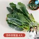 【NICE GREEn 美蔬菜】羽衣甘藍盒 200g 4入(生菜 沙拉 蔬菜 防疫健康組)
