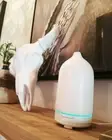 LAST ONE! 120ml Mountain Mist Ceramic Ultrasonic Diffuser