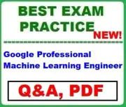 Professional Machine Learning Engineer BEST EXAM Q&A ~ LATEST 2025!