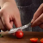 NEW Mini Stainless Steel EDC Knife Portable Outdoor Camping Unboxing Keychain Kn