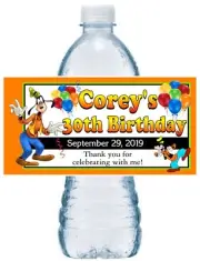 20 ~ GOOFY BIRTHDAY PARTY FAVORS WATER BOTTLE LABELS
