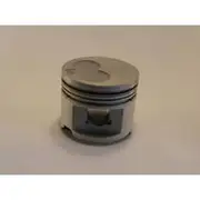 Austral Piston Set - PO1010A 020