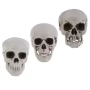 3 Pcs Mask Large Skeleton Halloween Skull Decoration Themes