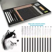 Professional Sketching Pencils Mixed Grade Sketch Graphite Pencil Set 29 Tin Box