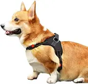 Anti-Pull Dog Harness for Corgi & Shiba Inu, Reflective Adjustable Chest Strap Leash/Chain for Small to Large Dogs (Black, M-(Fits 10-20kg))