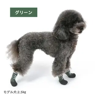 貝果貝果 日本 pet paradise  寵物外出 鞋襪 黑色/綠色[A3743]