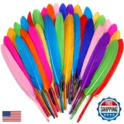FeelfunFeather 120pcs Mix Colur Goose Cochettes Feather 4-6 inch 10-15cm Bulk