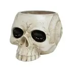 Resin Skull Head Flowers Succulents Planter Pots Small Container for Garden