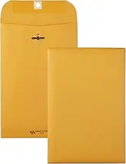 Quality Park Clasp Envelopes, 6 x 9 - Inches, Box of 100 (37855) (2, 6 x 9 Inches)