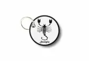 Keychain keyring print patch morale iron on zodiac applique scorpio