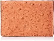 Luciano Valentino(ルチアーノ・バレンチノ) LUV-5007/BK Ostrich Embossed Pass Case (Commuter Pass)