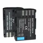 2x DMW-BLF19 new Camera Battery for Panasonic Lumix DMC-GH3 DMC-G9 G9 DC-G9GK-K