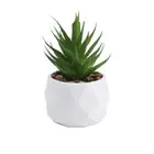 Artificial Potted Plant Succulent W/ Pot Small Faux R7L8 Fake Decor Cacti A4K4
