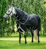 Amigo Bravo 12 Plus Turnout Blanket (100g Medium-Lite, 0g Hood)