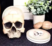 Ebros Gothic Bone Cream Homosapien Half Skull Base Holder With 4 Coasters Set