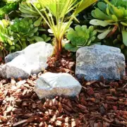 Southwest Boulder and Stone Bulk Landscape Rocks 5-Cu-Ftx2-3' Cresta Natural