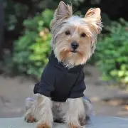 Flex-Fit Hoodie- Black LARGE