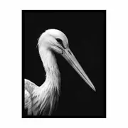 Stork Framed Print Fine Art Poster Print