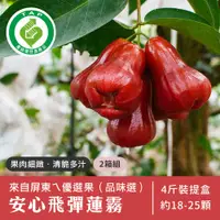 在飛比找PChome24h購物優惠-【美夢成真GCIshop】履歷屏東飛彈蓮霧4斤裝-2箱組(優