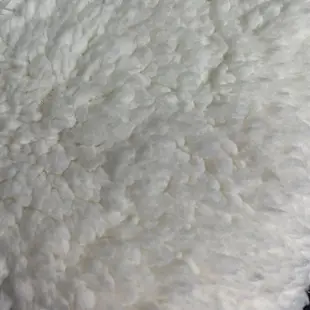 台醋量子健康舒眠毯 遠紅外線量子科技 羊羔絨 雙面料 單人毯 單人被 保暖毯 冬毯 毯子 棉被