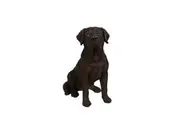 Northcote Pottery Resin Labrador Flower Plant Pot Garden Outdoor Decor Black