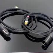 10ft. 2-XLR 3C Male to 2-RCA Male Stereo Audio Cable 2 RCA Male to XLR Male Plug