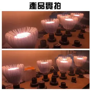 【JIUNPEY 君沛】40W 加強型光譜E27植物燈泡(植物生長燈)