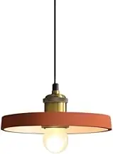 Colored Wrought Iron Hanging Light Shade, Modern Minimalist Style Pendant Lamp, E27 Base Single Head Ceiling Chandelier, Library Bar Shopping Mall Ceiling Lighting