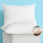 Set of 2 12X20 Inches Decorative Throw Pillow Inserts, down and Feather Cotton F