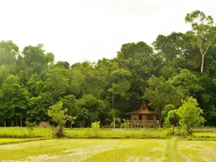 口袋森林小屋Pocket Forest Lodge