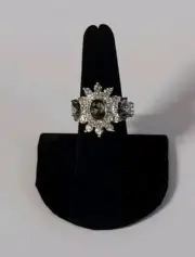 Paparazzi The Princess And The Frond Silver Ring