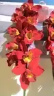 New( pk 4) 32" Artificial red cymbidium orchid Decoration Party by better hom