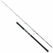 Daiwa SALTIGA AP J58S-4 Spinning Rod
