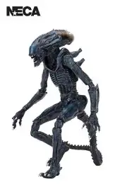 Alien Vs Predator Action Figure (Arachnoid Alien) - 7 Inch - NECA