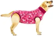 Target M Pink Camouflage Recovery Suit for Dogs Wound Protection Comfort