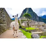 Save 10.00%! Machu Picchu Half Day Tour from Aguas Calientes