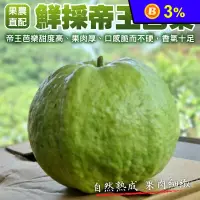 在飛比找生活市集優惠-【果之蔬】果農直配鮮採帝王芭樂5斤/10斤