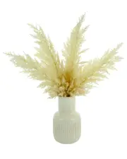 Creative Displays Pampas Arrangement In A Ceramic Vase NoSize Cream