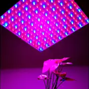 HQRP 225 LED Grow Light Panel for Indoor Grow Green house Hydroponic System