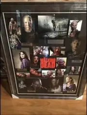 THE WALKING DEAD Framed Autograph Set by 13 Cast Members, HUGE Collector's Piece