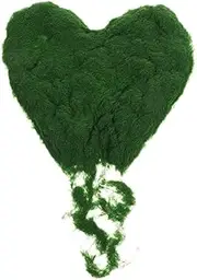 VICASKY 1 Bottle Miniature Landscapes Static Grass Terrains Powder Simulation Grass for Model Scenery Miniature Terrain Decoration and DIY Artificial Moss