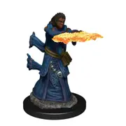 Dungeons and Dragons Premium Female Human Wizard Pre-Painted Figure