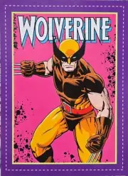 2022 Marvel Legends Retro Kenner Cardback Wolverine 3.75” Figure-Hasbro