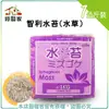 【綠藝家】智利水苔(水草)1公斤裝±10%(水份揮發問題重量減少為正常現象，能接受者再下單喔!)