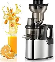 150W Professional Slow Juicer, Portable Pomace Separation Juicer with 75mm Feed Chute, Cold Press Juicer Machine, Slow Masticating Juicer for Whole Fruit and Vegetable
