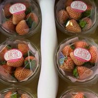 在飛比找蝦皮商城優惠-【日本淡雪草莓 6小盒裝】稀少珍貴 季節限定 餽贈朋友最佳禮