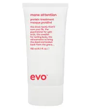 evo Mane Attention Protein Treatment