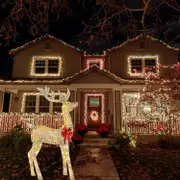 Lighted Christmas Deer Outdoor Decor, Reindeer Decor With Led Lights, Pre-lit Holiday Dcor For Yard Reindeer-11.8inch